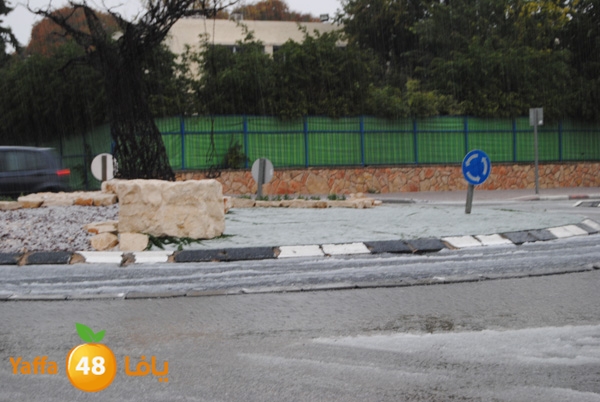 ice ramla 1213 (3).JPG